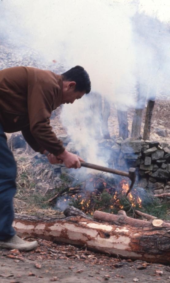 김운기 컬렉션이미지