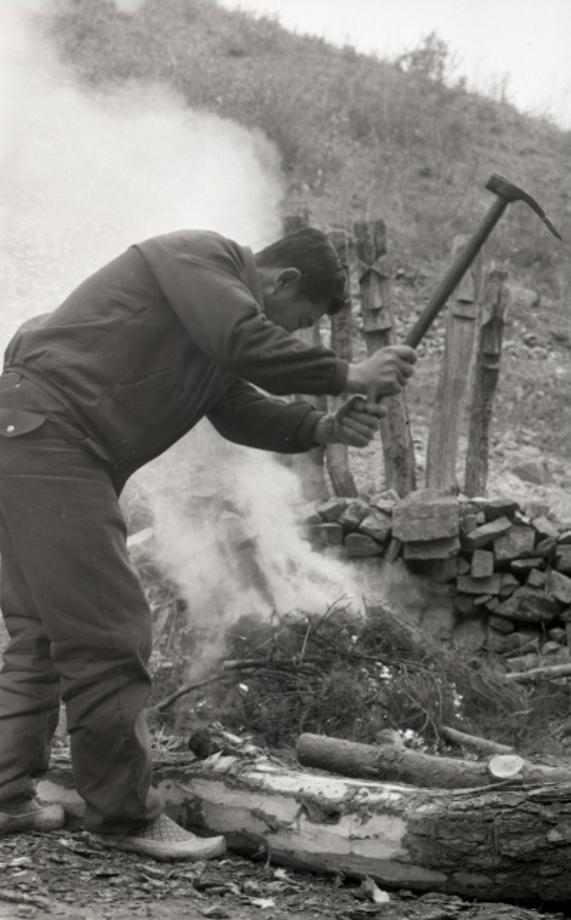 김운기 컬렉션이미지