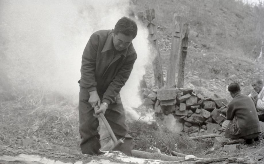 김운기 컬렉션이미지