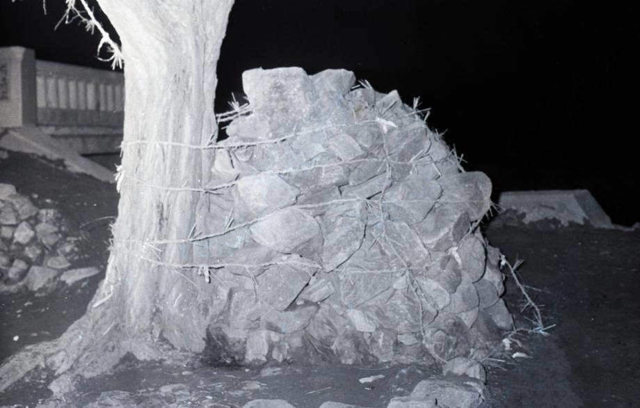 김운기 컬렉션이미지