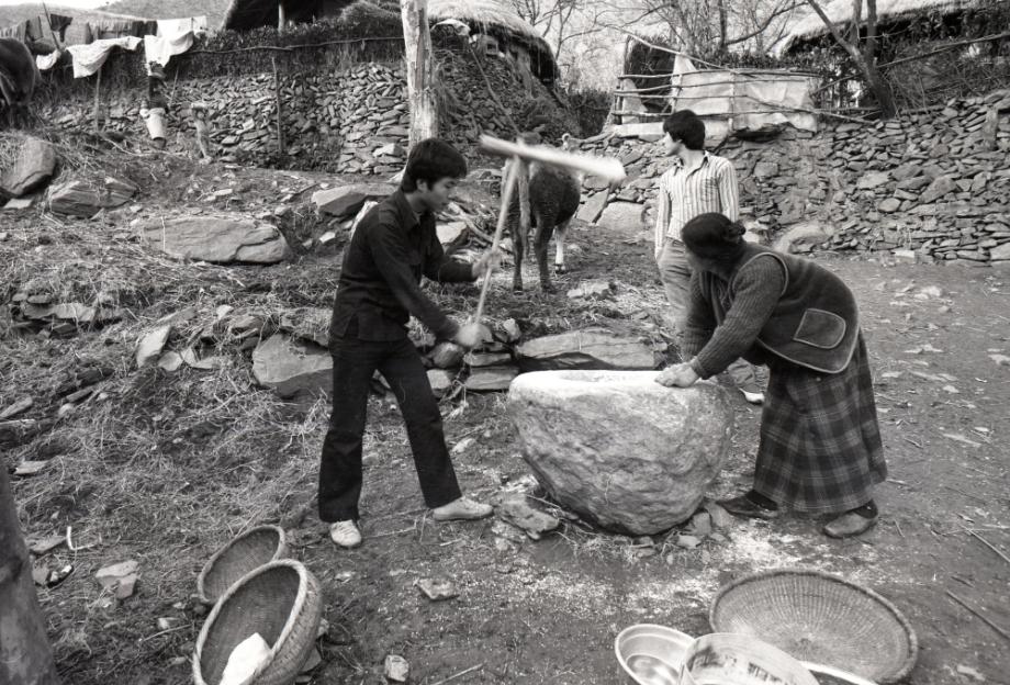 김운기 컬렉션이미지