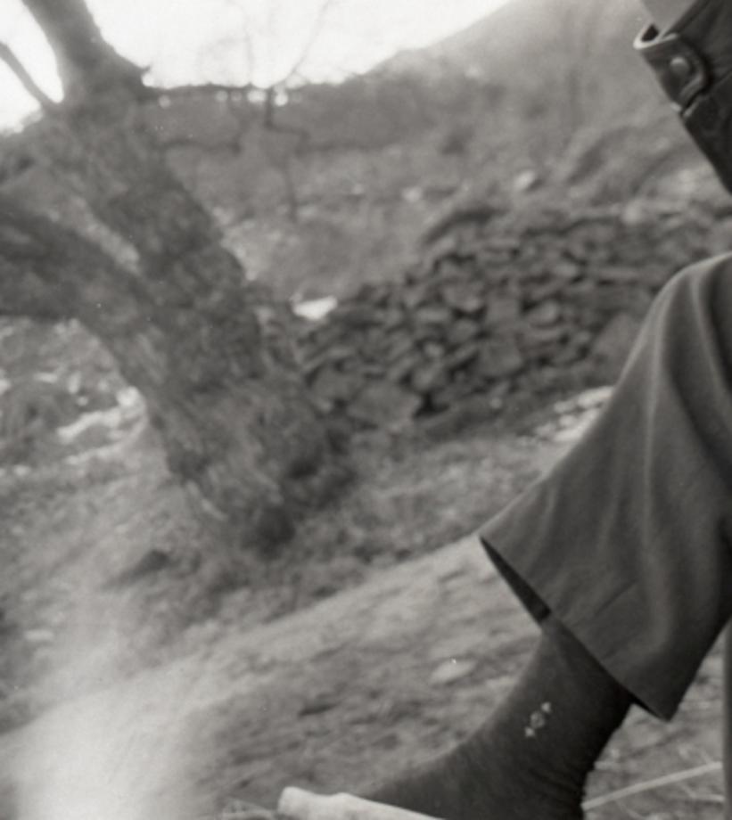 김운기 컬렉션이미지