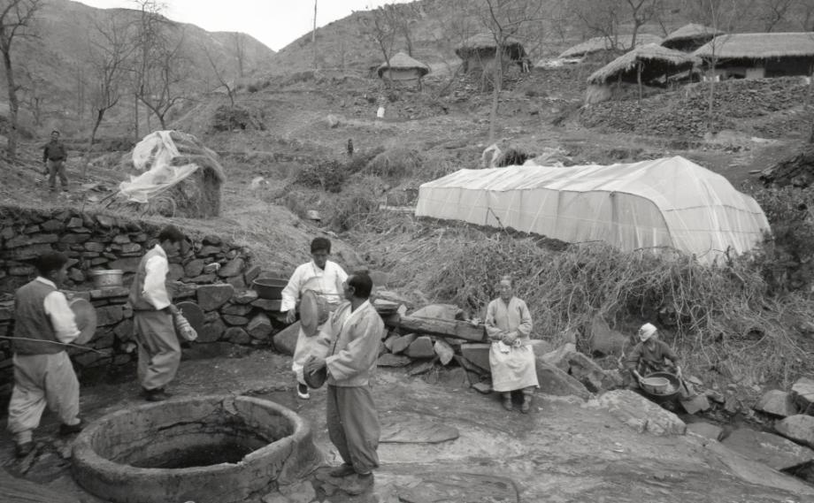 김운기 컬렉션이미지