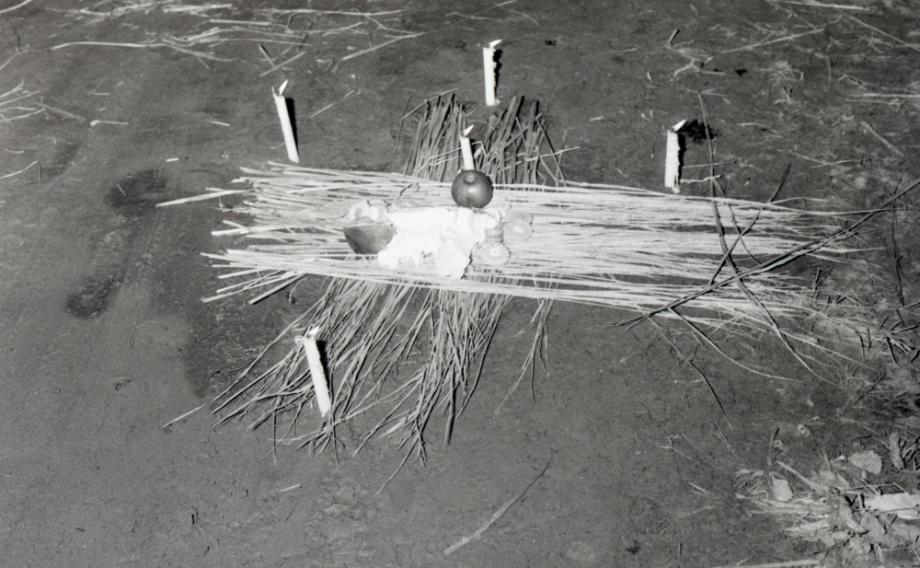 김운기 컬렉션이미지