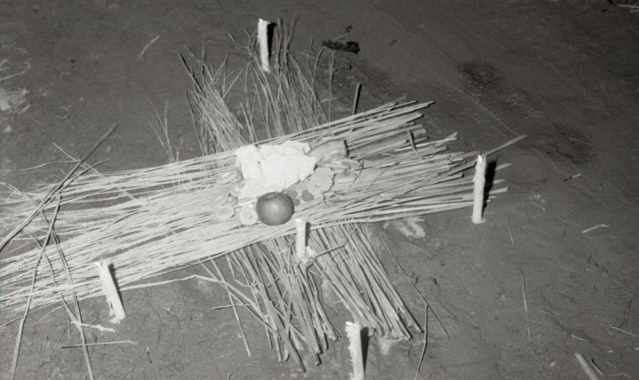 김운기 컬렉션이미지