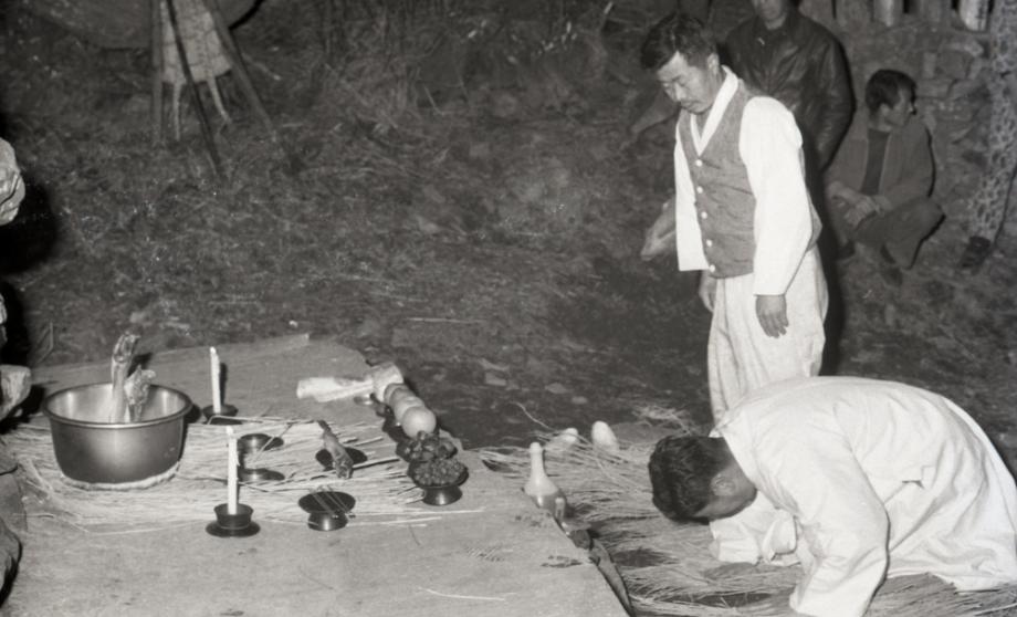 김운기 컬렉션이미지