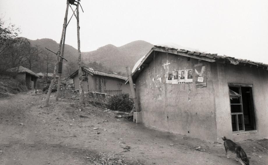 김운기 컬렉션이미지