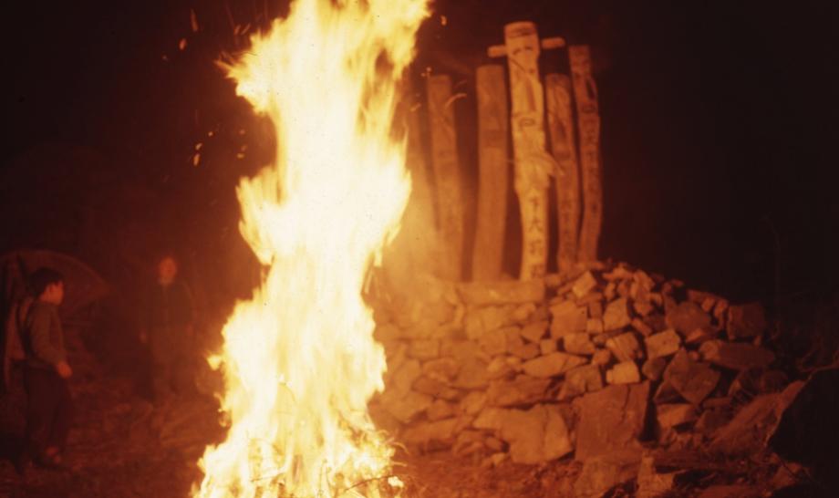 김운기 컬렉션이미지