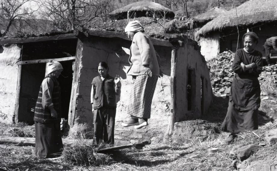 김운기 컬렉션이미지