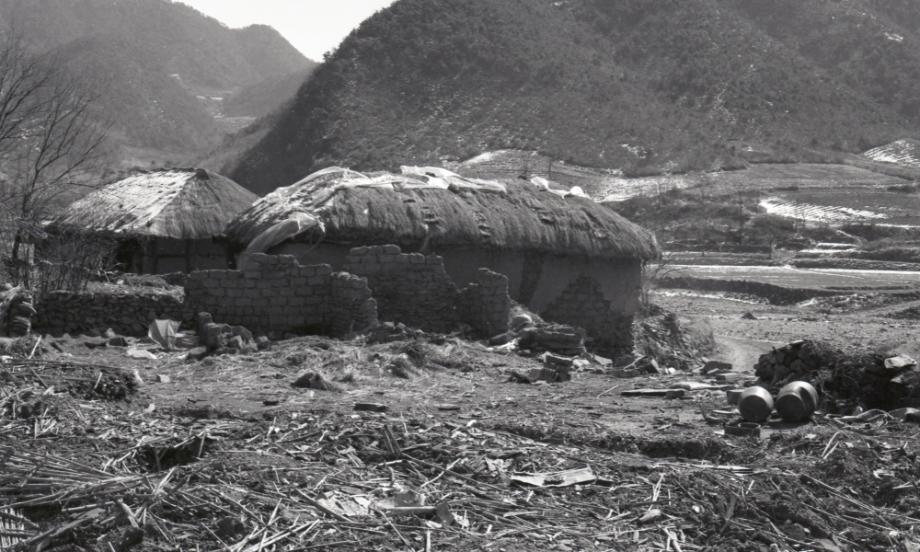 김운기 컬렉션이미지