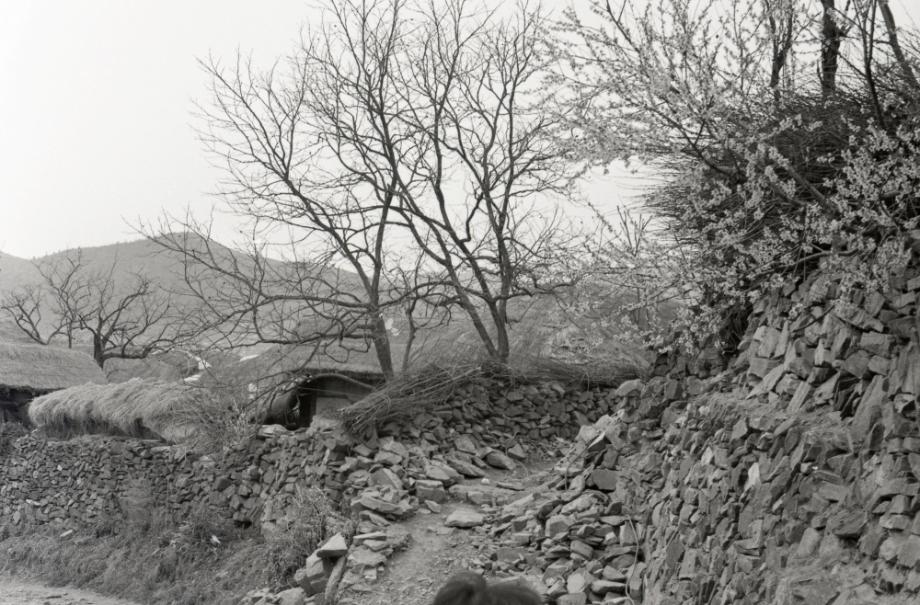 김운기 컬렉션이미지