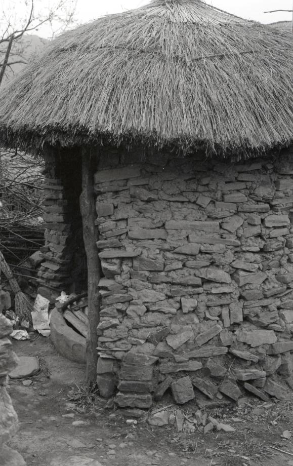 김운기 컬렉션이미지