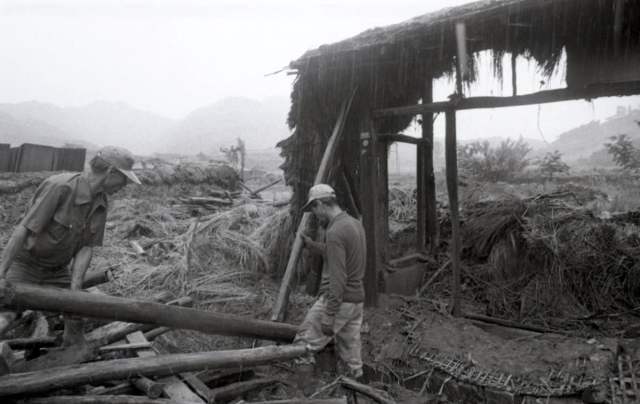 김운기 컬렉션이미지