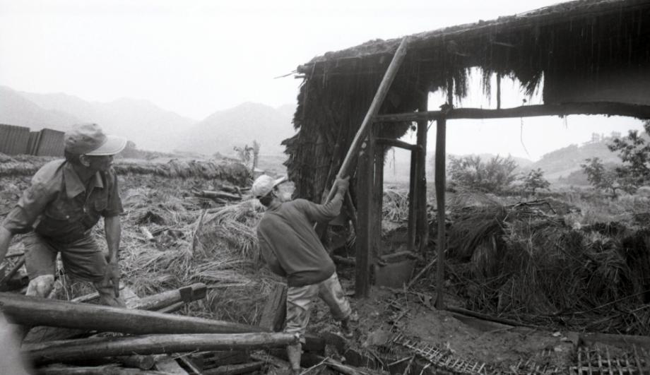 김운기 컬렉션이미지
