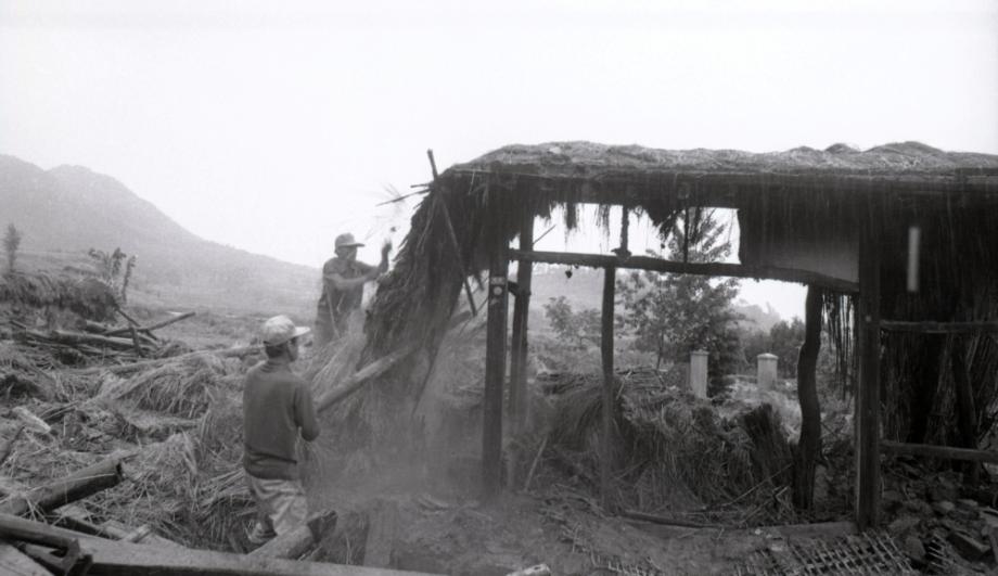 김운기 컬렉션이미지