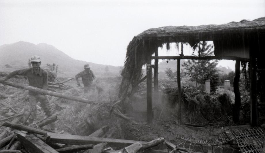 김운기 컬렉션이미지