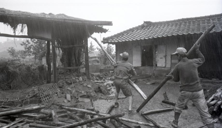 김운기 컬렉션이미지