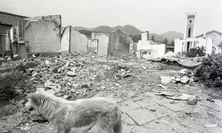 김운기 컬렉션이미지