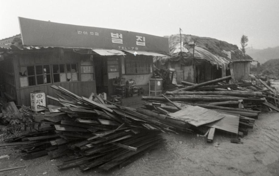 김운기 컬렉션이미지