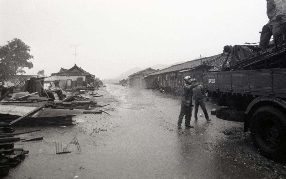 김운기 컬렉션이미지