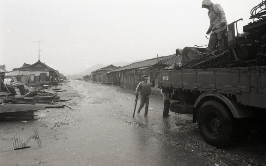김운기 컬렉션이미지