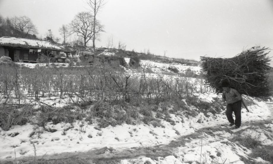 김운기 컬렉션이미지