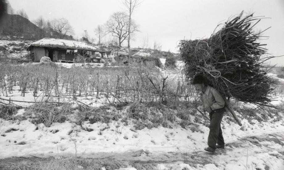 김운기 컬렉션이미지