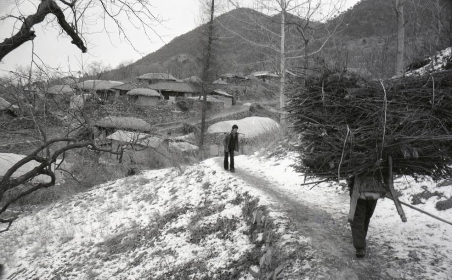 김운기 컬렉션이미지