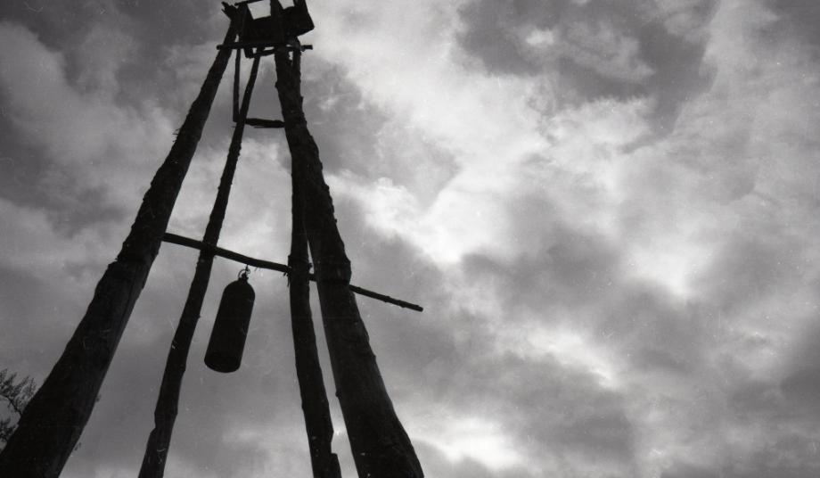 김운기 컬렉션이미지