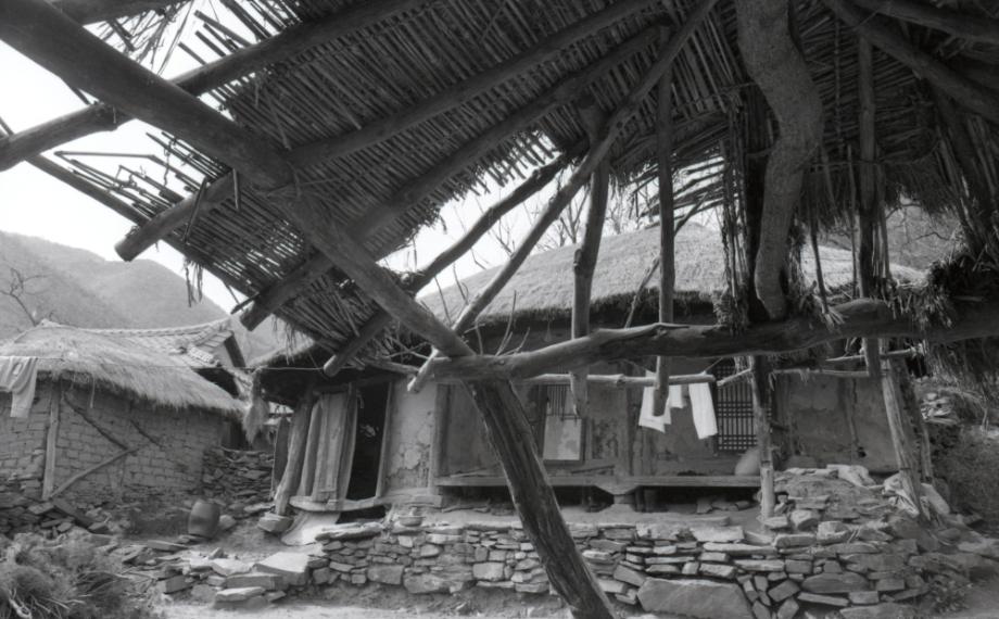 김운기 컬렉션이미지