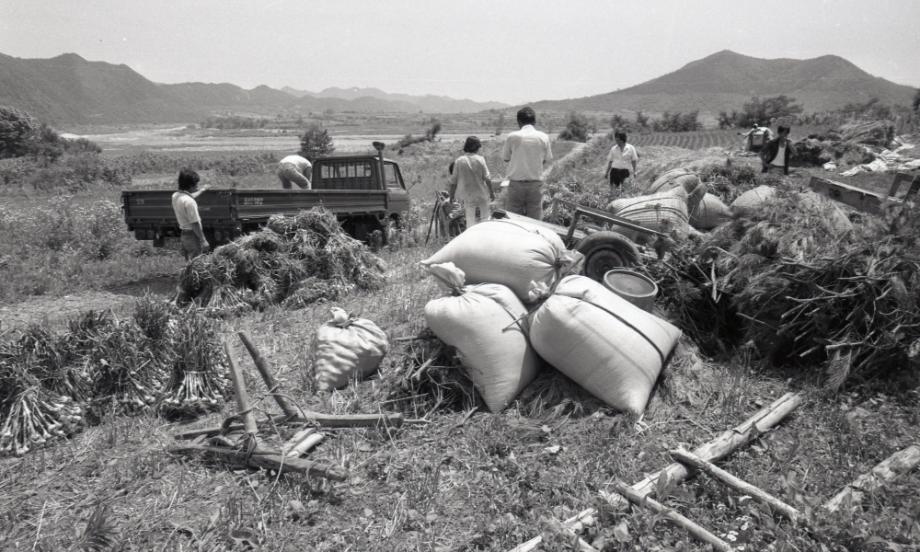 김운기 컬렉션이미지