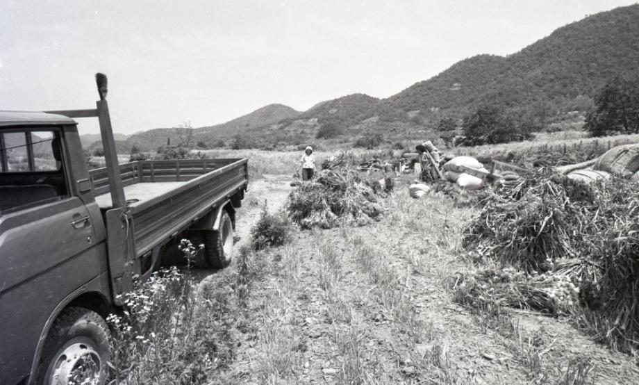 김운기 컬렉션이미지