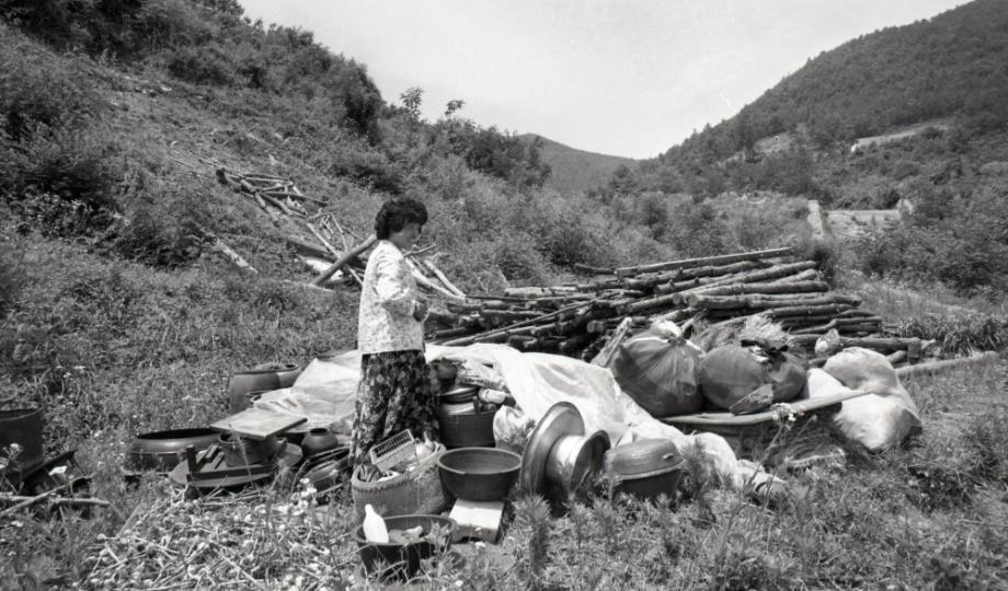 김운기 컬렉션이미지