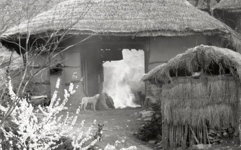 김운기 컬렉션이미지