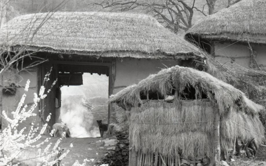 김운기 컬렉션이미지