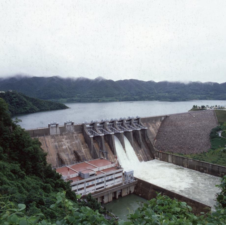 김운기 컬렉션이미지