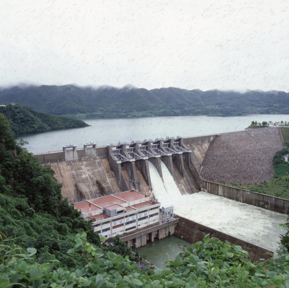 김운기 컬렉션이미지