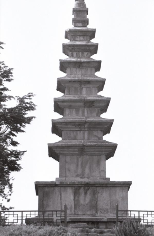 충주 탑평리 칠층석탑이미지