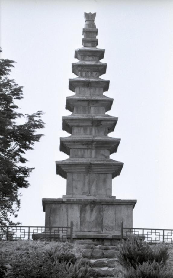 충주 탑평리 칠층석탑이미지