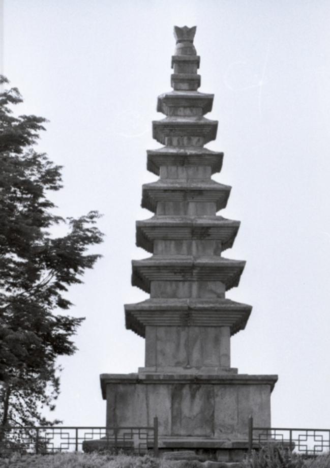 충주 탑평리 칠층석탑이미지