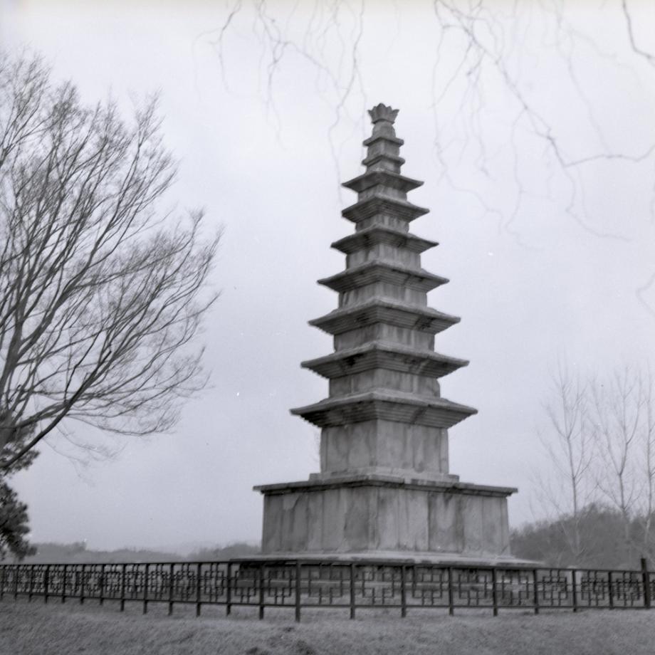 충주 탑평리 칠층석탑이미지