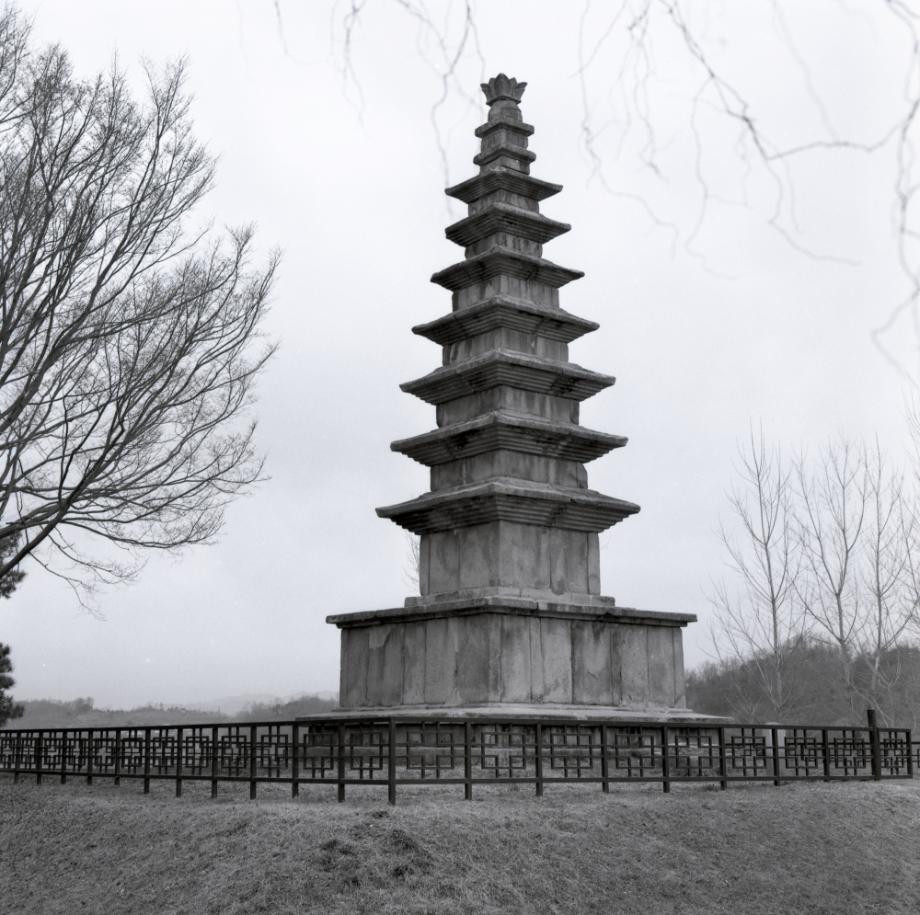 충주 탑평리 칠층석탑이미지