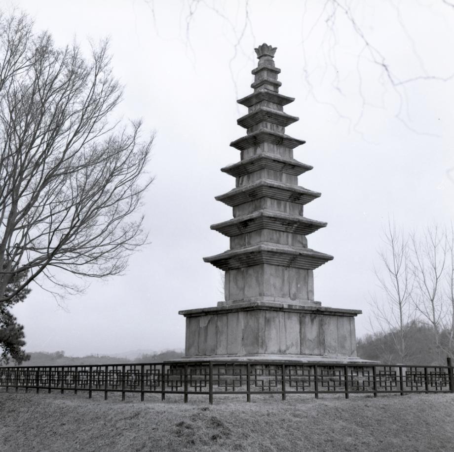 충주 탑평리 칠층석탑이미지