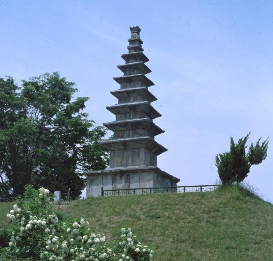 충주 탑평리 칠층석탑이미지