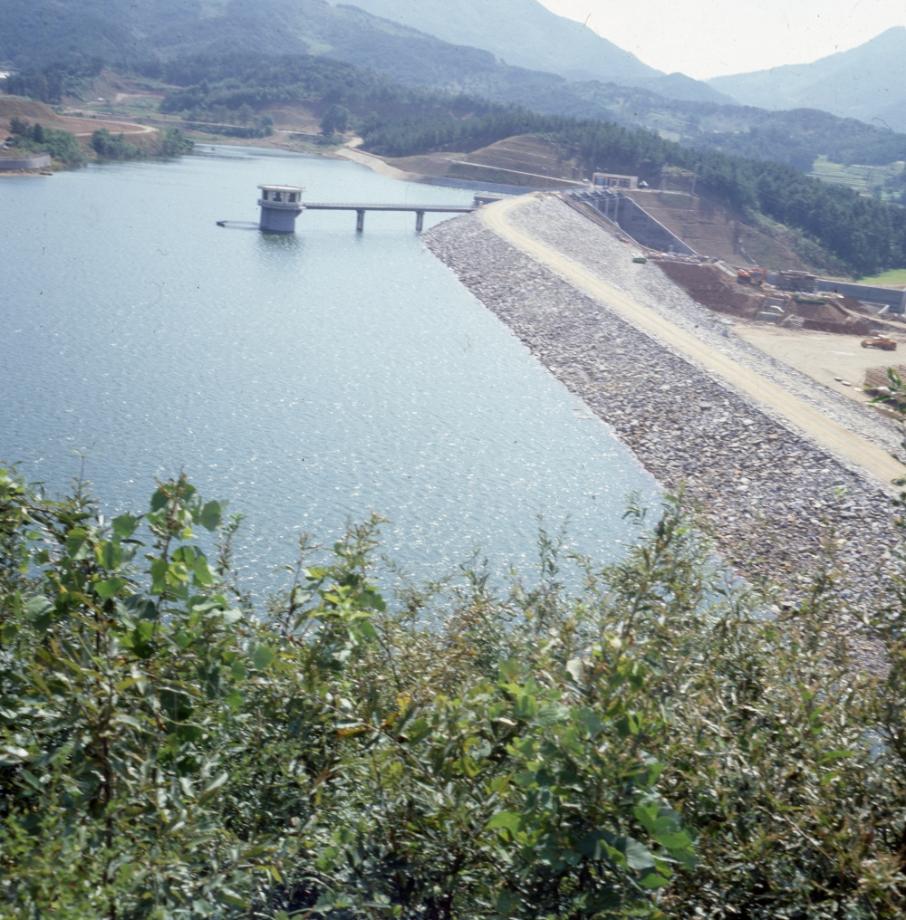 김운기 컬렉션이미지