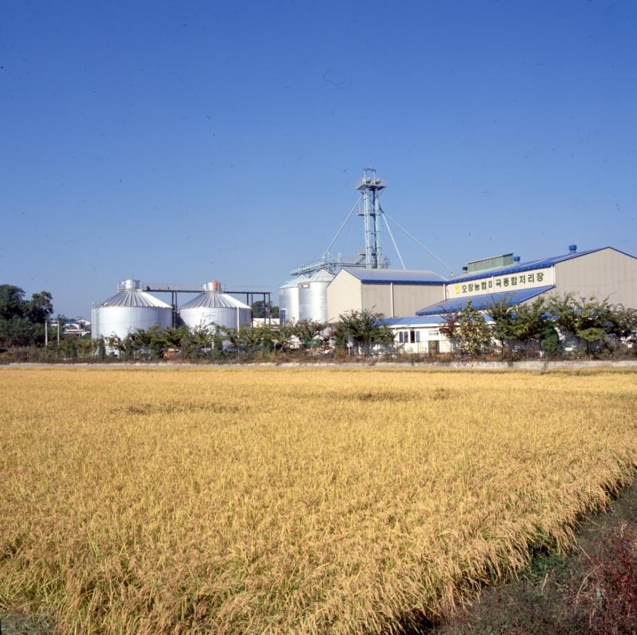 김운기 컬렉션이미지