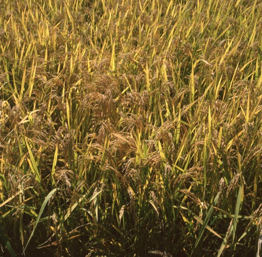 김운기 컬렉션이미지