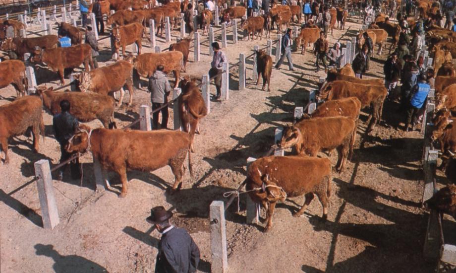 김운기 컬렉션이미지