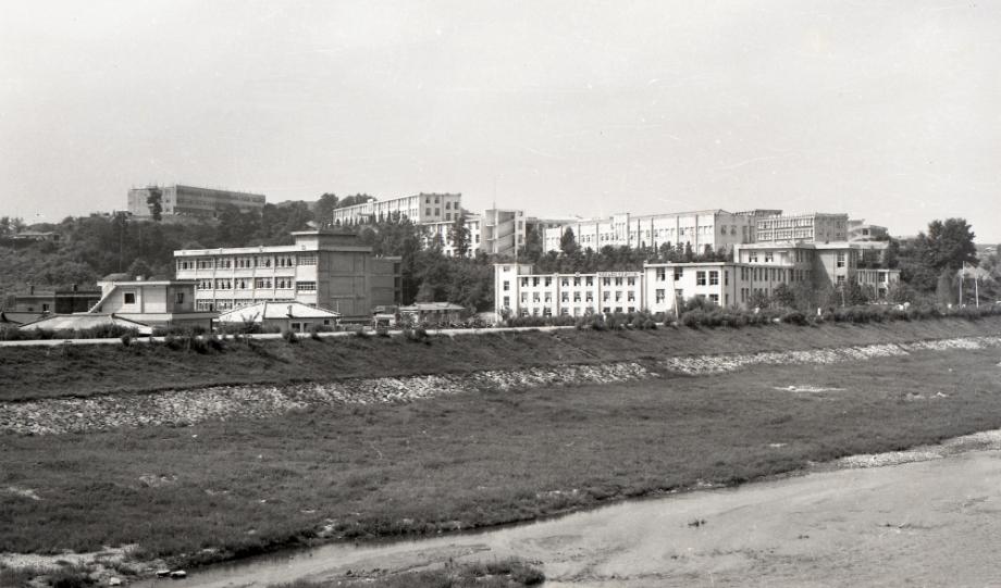 김운기 컬렉션이미지