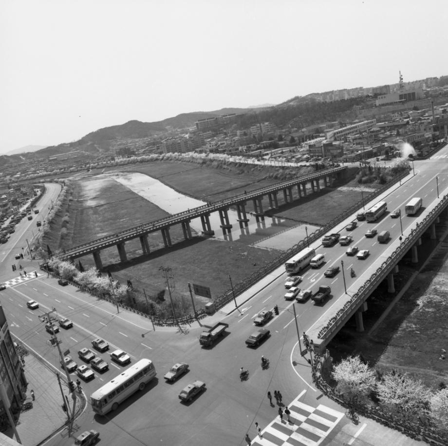 김운기 컬렉션이미지